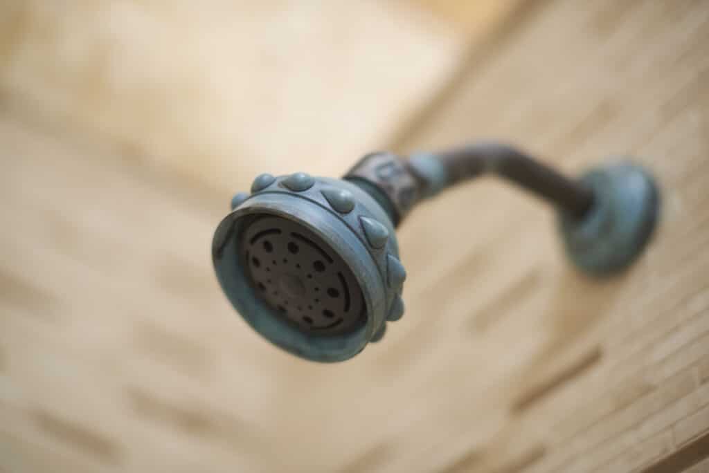 Unity Shower Head with Rosette