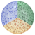 Multi-Color
